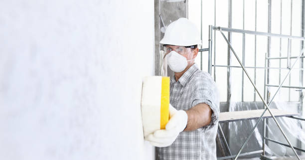 Best Biohazard Mold Removal  in Ames, IA