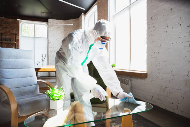 Best Emergency Mold Remediation  in Ames, IA